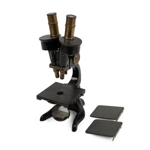 Microscope: Leitz Wetzlar stereo binocular dissecting…