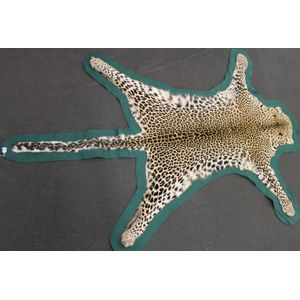A leopard skin, backed onto green felt with a shaped edge, in…