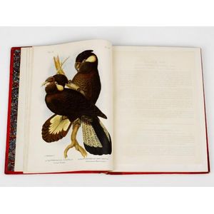 Broinowski's Birds of Australia (4 volumes) - Books - Printed & Written ...