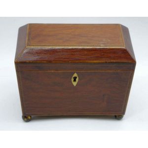 Regency casuarina sarcophagus tea caddy, with twin lidded…