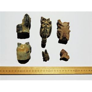 Six pieces Fossilized Mud lobster. Gunn point, Darwin, NT.…