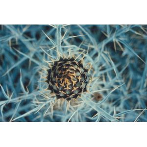 Six photographs by Charles Eames, colour gelatin print in mount,…