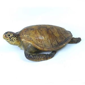 A large vintage full mount turtle, modelled with head raised,…