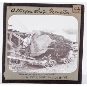A collection of 19th century and later glass slides Concerning…