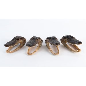 Four small taxidermy alligator heads, Louisiana, U.S.A. 20th…