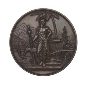 Copper award medal, unsigned (by J. Wyon), standing Maori…