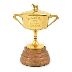 A gold 1933 Auckland cup and cover, the tapering body inscribed…