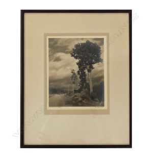 George Chance (1885-1963), 'Forest Relics near Taihape', camera…