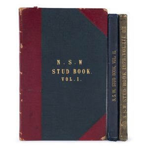 The Stud book of New South Wales, Containing Pedigrees of Race…