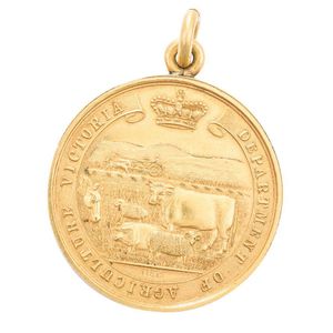 An agricultural medal, dated 1905 and awarded to James W Porter…