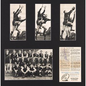 Signed Displays, noted Brownlow Medalists display with c38…