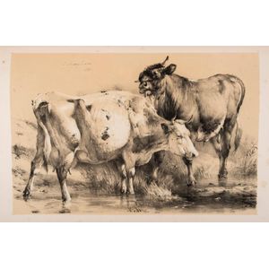 Thomas Sidney Cooper, groups of cattle, drawn from nature,…