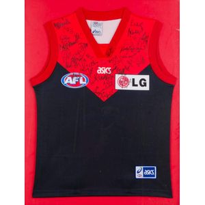 Melbourne: Melbourne football jumper with c36 signatures,…