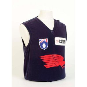 Adelaide: 1991-95 Adelaide Crows training jumper, number 52…