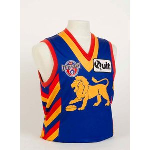 Throwback 1980 Fitzroy Lions Vintage Home Jumper Custom, 42% OFF