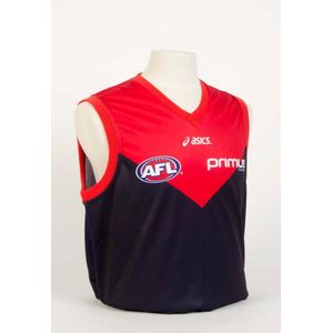 Melbourne: 2007 Melbourne home jumper, number 13 Adam Yze; plus…
