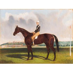 Commotion (3rd to Martini-Henry in 1883 Melbourne Cup; 2nd to…