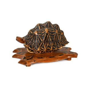 An Anglo-Ceylonese jewel casket, tortoise shell and inlaid…