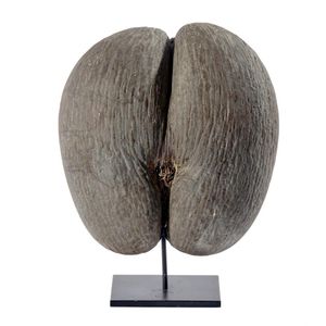 A large natural Coco de Mer, together with stand, overall…