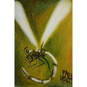 Pro Hart 'Dragon Fly II' oil on board, signed lower right, 39 x…