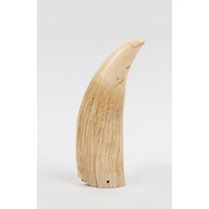A sperm whale tooth, late 19th century, an impressive 20.5 cm…