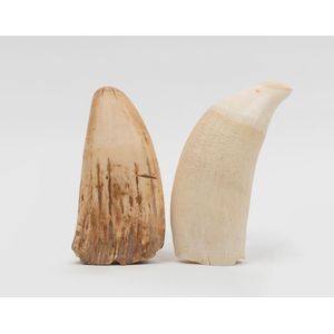 Two sperm whale teeth, 19th and early 20th century, 15 cm and…