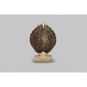 A turtle shell, mounted by Tony White in silver metal with…