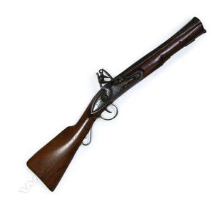 Blunderbuss definition  Blunderbuss meaning - words to describe