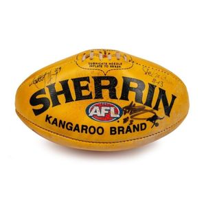 AFL/VFL signed and souvenir Sherrin and other footballs - price guide ...