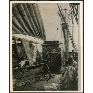 The B.A.N.Z. Antarctic Expedition: Official original photograph…