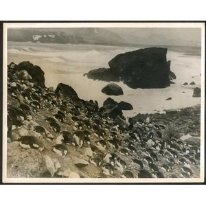 The B.A.N.Z. Antarctic Expedition: Official original photograph…