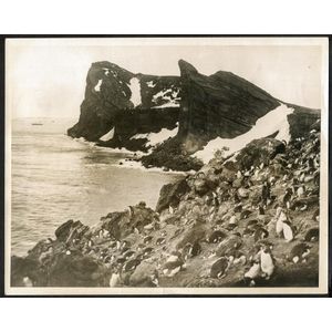 The B.A.N.Z. Antarctic Expedition: Official original photograph…