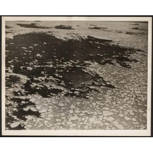 The B.A.N.Z. Antarctic Expedition: Official original photograph…