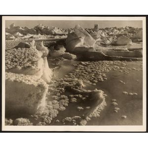 The B.A.N.Z. Antarctic Expedition: Official original photograph…