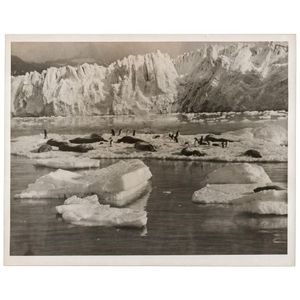 The B.A.N.Z. Antarctic Expedition: Official original photograph…