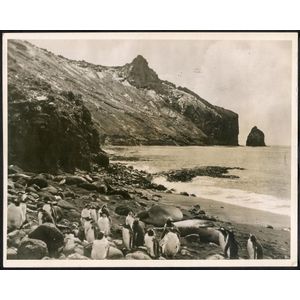 The B.A.N.Z. Antarctic Expedition: Official original photograph…