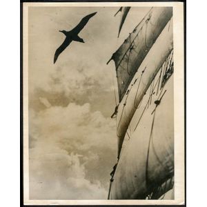 The B.A.N.Z. Antarctic Expedition: Official original photograph…