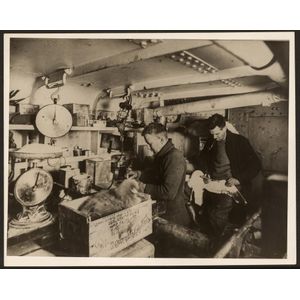 The B.A.N.Z. Antarctic Expedition: Official original photograph…