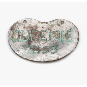 Aboriginal breastplate. Engraved 'Queenie, 1855.' nickel plated…