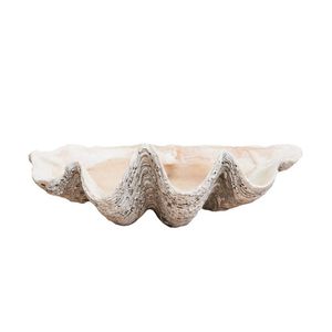 Giant clam shell, length 78 cm. Provenance: Private Collection,…