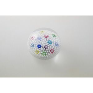 Paperweight, Baccarat scattered zodiac canes on star carpet…