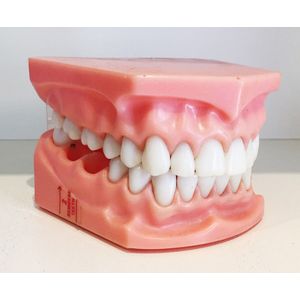 A collection of Dental tools, including Dental moulds and a…