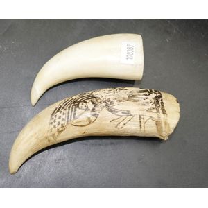Two early whale teeth including one decorated with a woman…