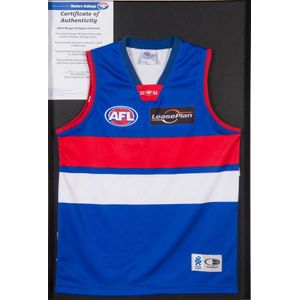 Souvenir Or Collectable Western Bulldogs Jumpers Price Guide And Values