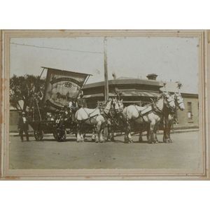 West Australian Interest: silver Gelatin print by the Dease…