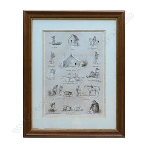 A framed lithograph from C.D. Barraud's New Zealand Graphic and…