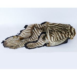 A vintage zebra skin, some distress, mounted on black felt…