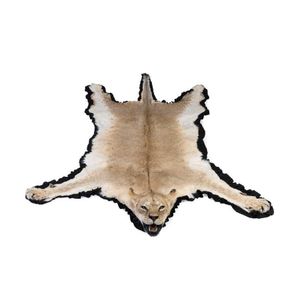 A Panthera leo (lioness) skin, with fully taxidermied head,…