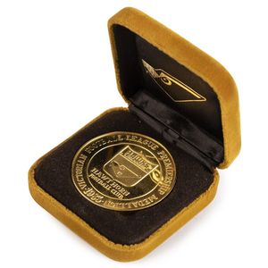 1983 Hawthorn Football Club Premiership Medallion - Sporting - AFL/VFL ...