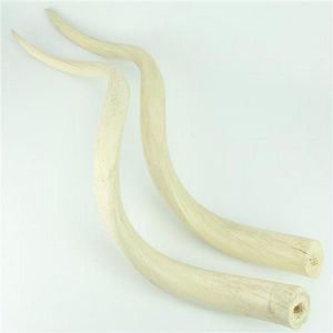 Kudu horns polished so the brown outer shell has been removed…